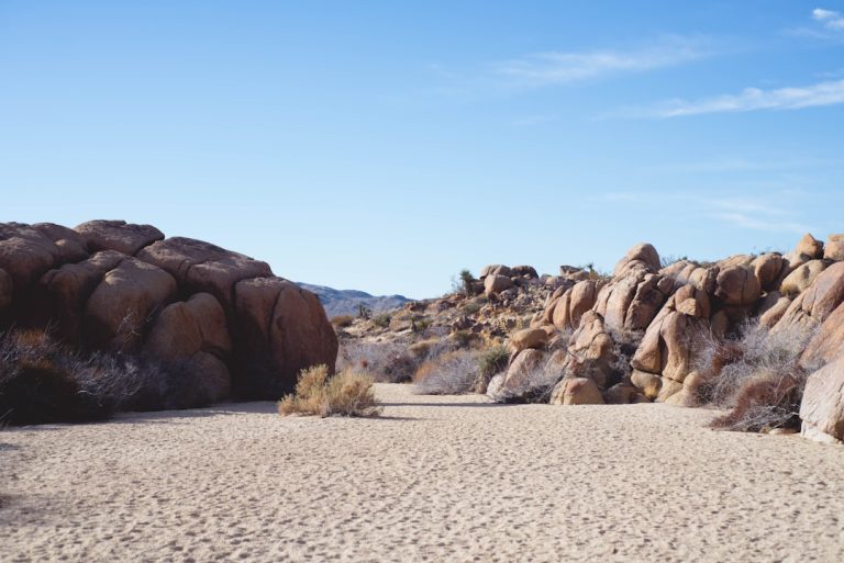 Embracing the Wild: Unconventional Outdoor Adventures Worth Trying